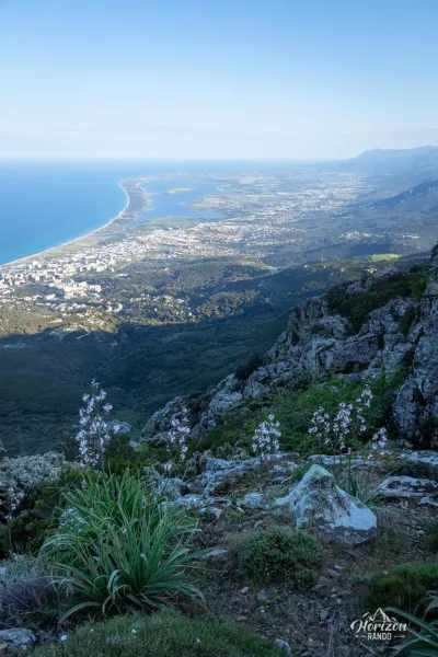 Côte de Bastia