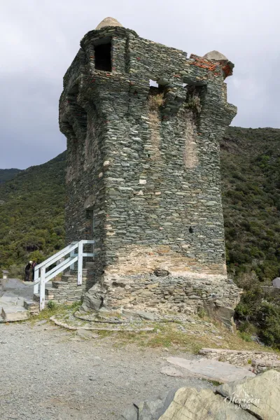 Paolina Tower Paolina Tower