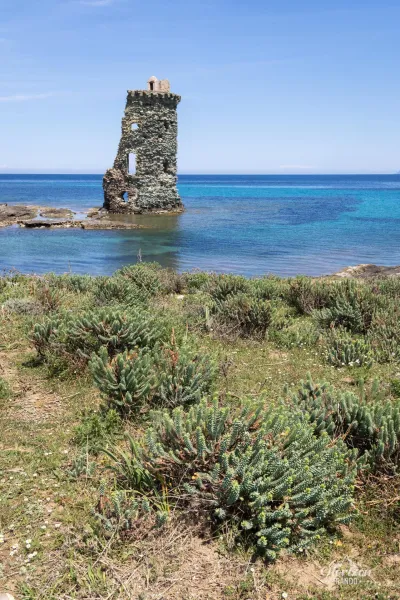 Tour Santa Maria