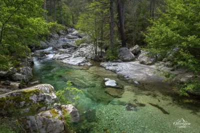Natural pool Natural pool