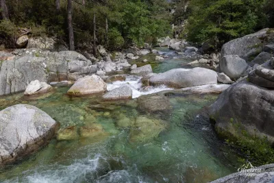 Manganello stream Manganello stream