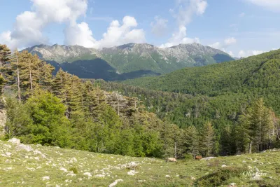 Arête entre les sommets de Punta di Campiglione et Punta di u Prati Arête entre les sommets de Punta di Campiglione et Punta di u Prati