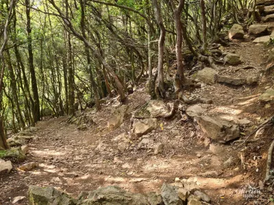 Trail to the waterfall Trail to the waterfall