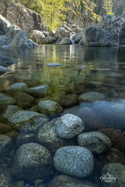 Natural pool Natural pool