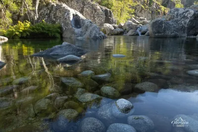 Natural pool Natural pool