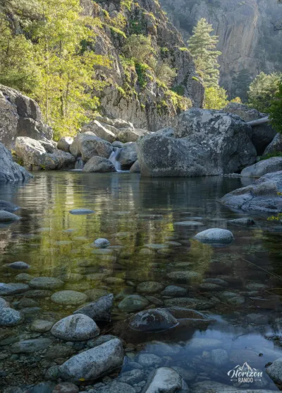 Natural pool Natural pool