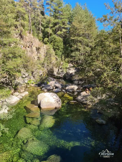 Natural pool Natural pool