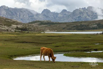 Camputile plateau and Lac de Nino in front of the Rotondo massif Camputile plateau and Lac de Nino in front of the Rotondo massif
