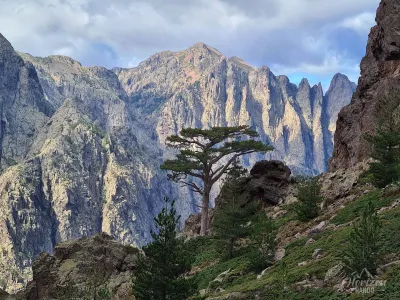 Punta di Spasimata