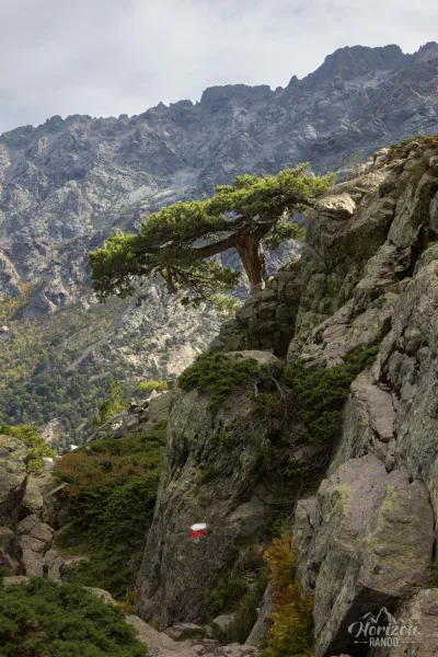 Descente vers le refuge d'Asco