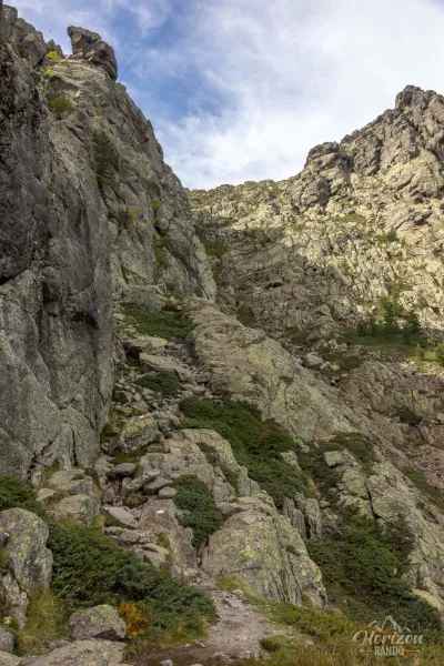 Sentier légèrement technique sur la descente