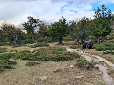 Camputile plateau