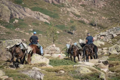 Donkeys supply the Ciottulu di i Mori refuge