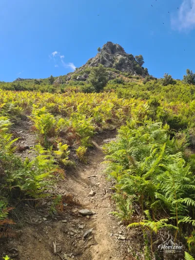 Sentier à la montée