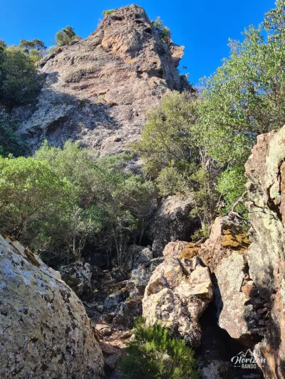 Very wild trail throughout Very wild trail throughout
