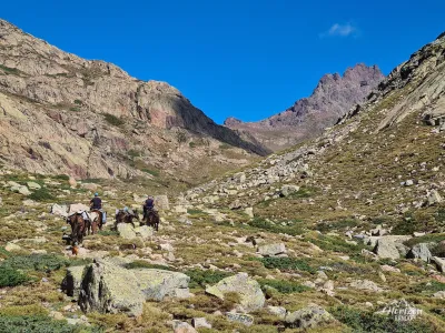 Donkey supplies for the Ciuttulu di i Mori refuge Donkey supplies for the Ciuttulu di i Mori refuge