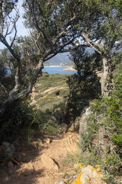 Beautiful wild trail Beautiful wild trail