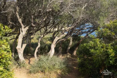 Path Sentier