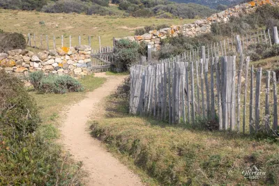 Path Path