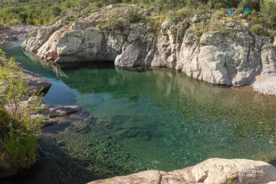 Natural pool Natural pool
