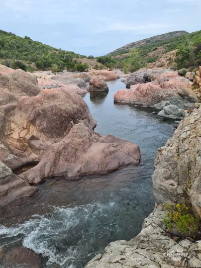 Fango river Fango river