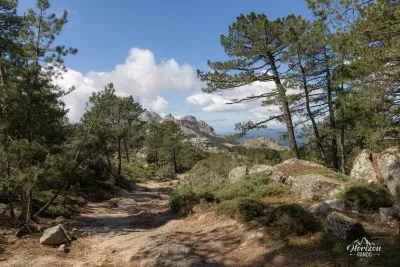 Sentier dans la forêt de Zonza
