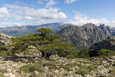 Monte Calva