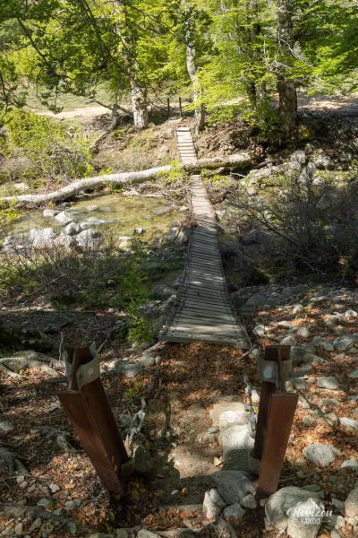 Collapsed footbridge Collapsed footbridge