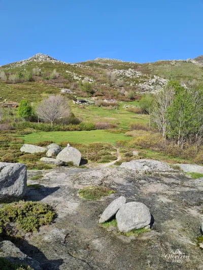 Plateau of Coscione Plateau of Coscione