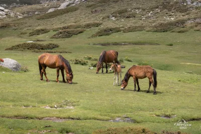 Plateau of Coscione, a beautiful family Plateau of Coscione, a beautiful family
