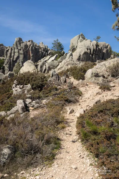 Path leading to Punta di a vacca morta Path leading to Punta di a vacca morta