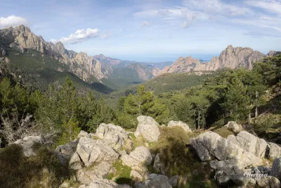Bavella forest Bavella forest