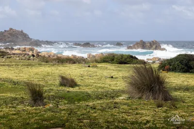 Coastline Coastline