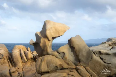Sculptures Sculptures