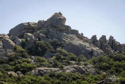 Lion of Roccapina Lion of Roccapina
