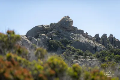 Lion de Roccapina Lion de Roccapina