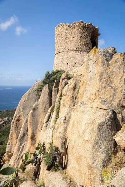 Genoese tower of Roccapina Genoese tower of Roccapina