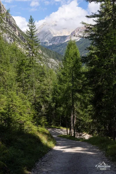 Piste forestière au retour Piste forestière au retour