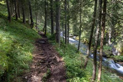 Sentier forestier en remontant le Rio Fanes Sentier forestier longeant le Rio Fanes, Dolomites