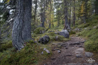 Croda da Lago – photo 4