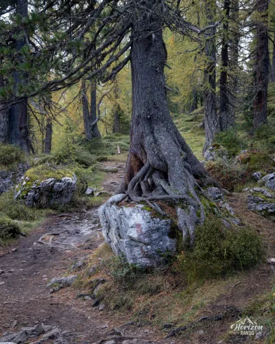 Croda da Lago – photo 5