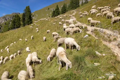 Lago di Fedaia and Rifugio Viel del Pan – photo 10