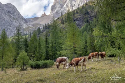 Malga Ciapela to Rifugio Falier – photo 4