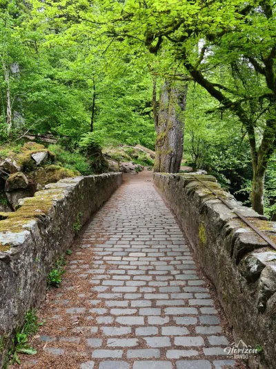 Stone bridge Stone bridge