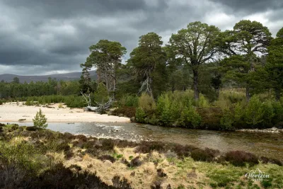 Rivière Lui