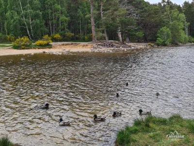 Loch An Eilein Loch An Eilein