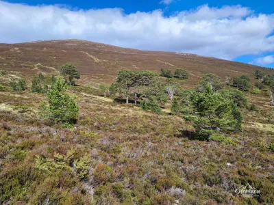 Rounded summit of Meall a' Bhuachaille