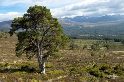 Meall a'Buachaille