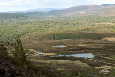 Typical Cairngorms landscape