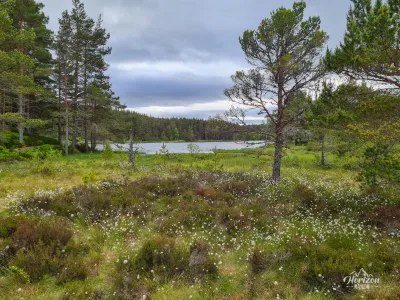Uath Lochans Uath Lochans